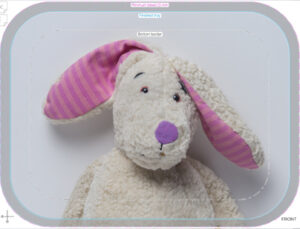 crop1sep25 crop 210 cc tray 27x20cm orig my rabbit 061 ret ext ary 300921 forbicon27feb2025