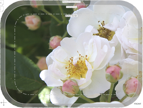 tray garden rose trier 27x20cm