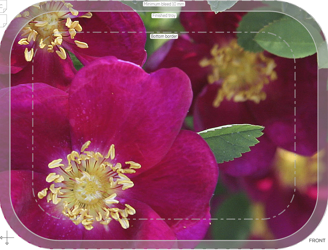 crop crop 37 trad tray birch 27x20cm orig kröll single cherry, beskuren 3 sharp forbicon