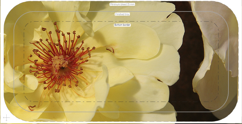 crop crop 70 trad garden tray birch 32x15cm orig kröll golden showers img 5155sharp ary 300032 forbicon8dec2025