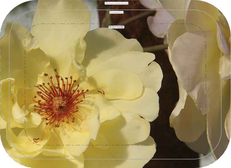 crop crop 71 trad garden tray birch 34x24cm orig kröll golden showers img 5155sharp ary 300924 forbicon8dec2025