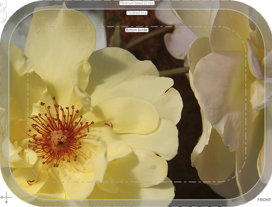 crop crop 79 trad tray birch 27x20cm orig kröll golden showers img 5155sharp forbicon (4)