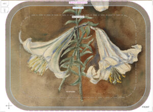 small prod 110 trad amaryllis ary tray birch 27x20cm 300921 forbicon31march2026 front print
