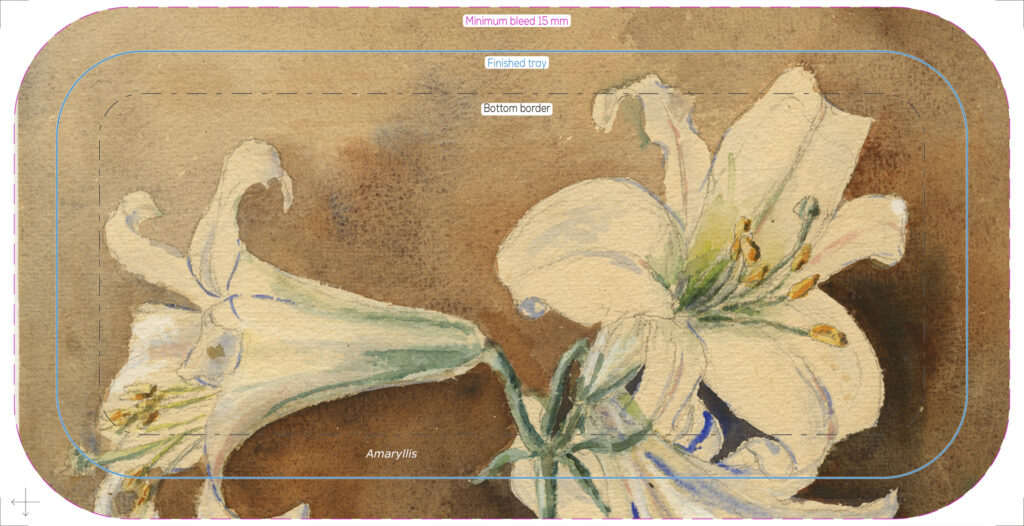 small prod 112 trad amaryllis ary tray birch 32x15cm 300032 forbicon31march2026 front print