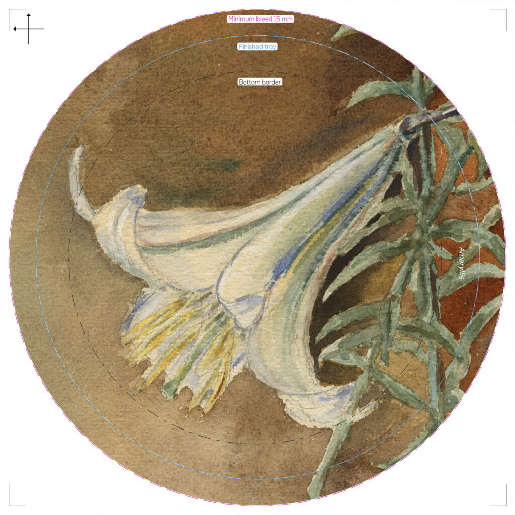 small prod 115 trad amaryllis ary tray birch 25cm 300625 forbicon31march2026 front print