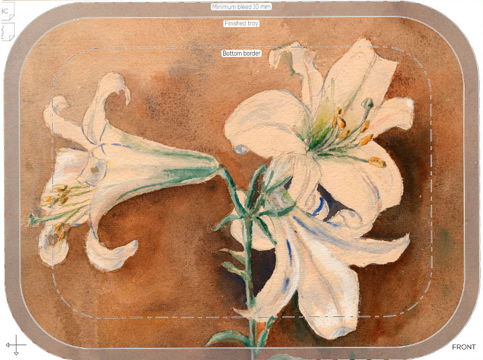 web small 27apr26 tray nr111 27x20cm scan by proimages amaryllis lilly 241010 forbicon 002x lowres